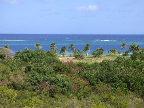 Milly'S Inn Shoal Bay Village Екстериор снимка